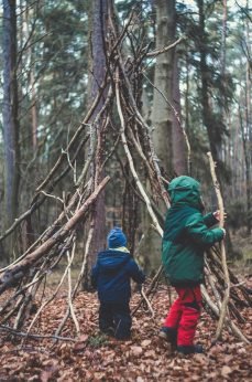 markus-spiske-457265-unsplash markus-spiske-457265-unsplash